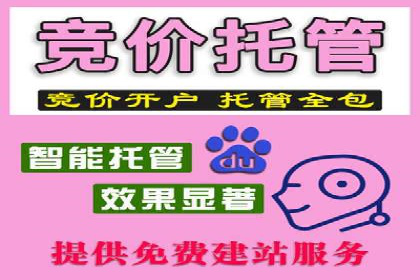 百度推广平台操作指南：案例解析，轻松上手